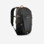 Трекинговый рюкзак Arpenaz NH100 20л